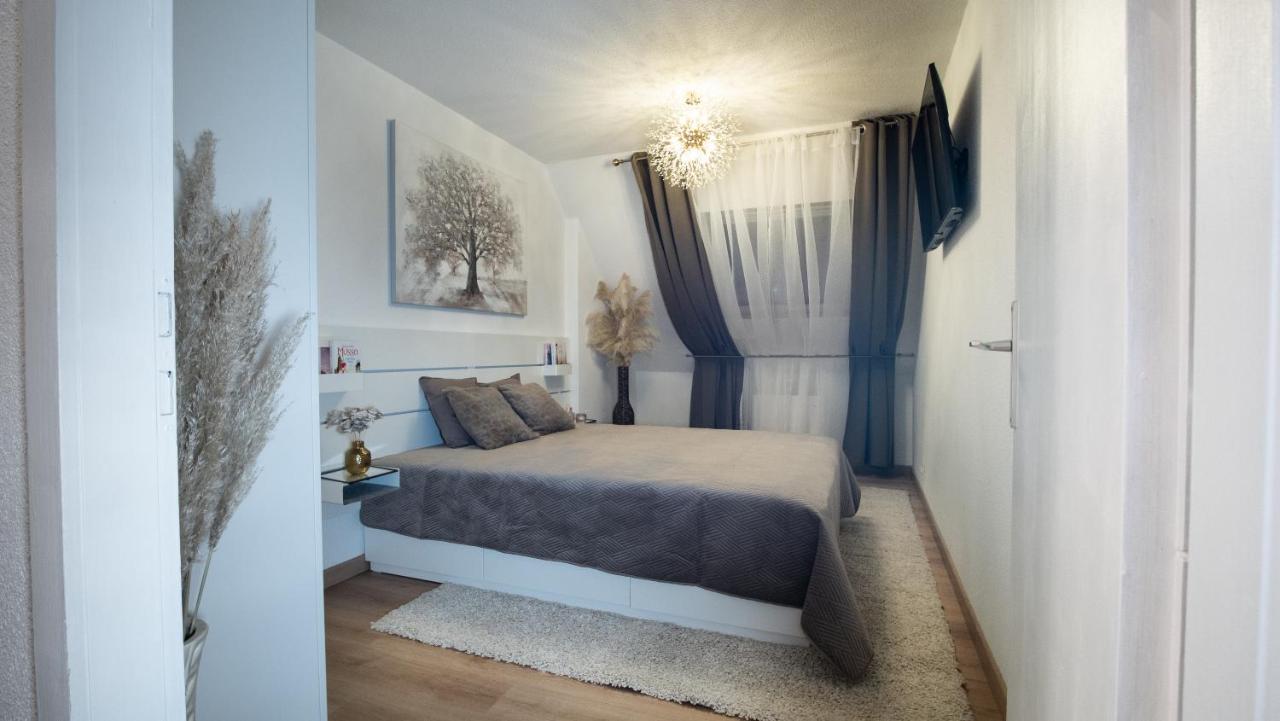 Superbe Appartement Au Coeur Du 科尔马 外观 照片