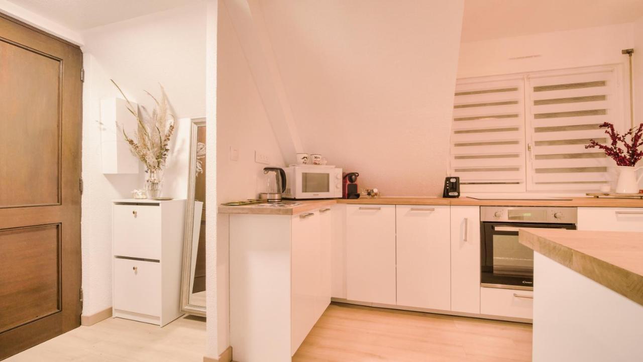 Superbe Appartement Au Coeur Du 科尔马 外观 照片